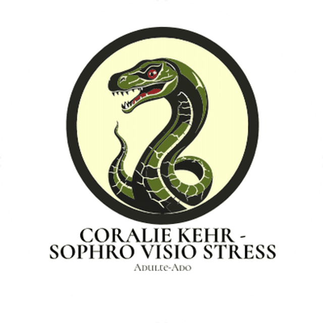 10 SOPHRO STRESS - VISIO A DISTANCE Adulte-Ado 10 SEANCES INDIVIDUELLES via votre connexion internet - 10X1 heure (prix par personne)