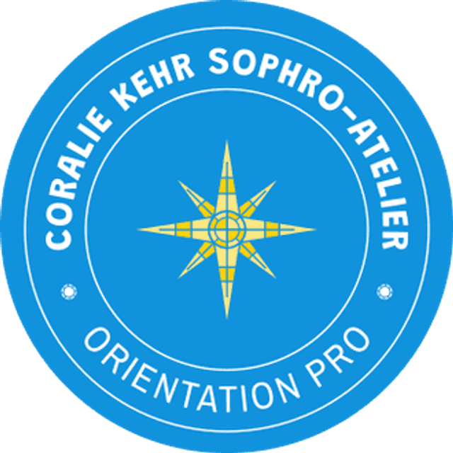 1 SOPHRO ORIENTATION PROF. A CHAMBERY ou EVIAN (1 samedi/mois) Adulte-Ado ATELIER INDIVIDUEL à DOMICILE 1 samedi atelier de 3h30 - (prix par personne)